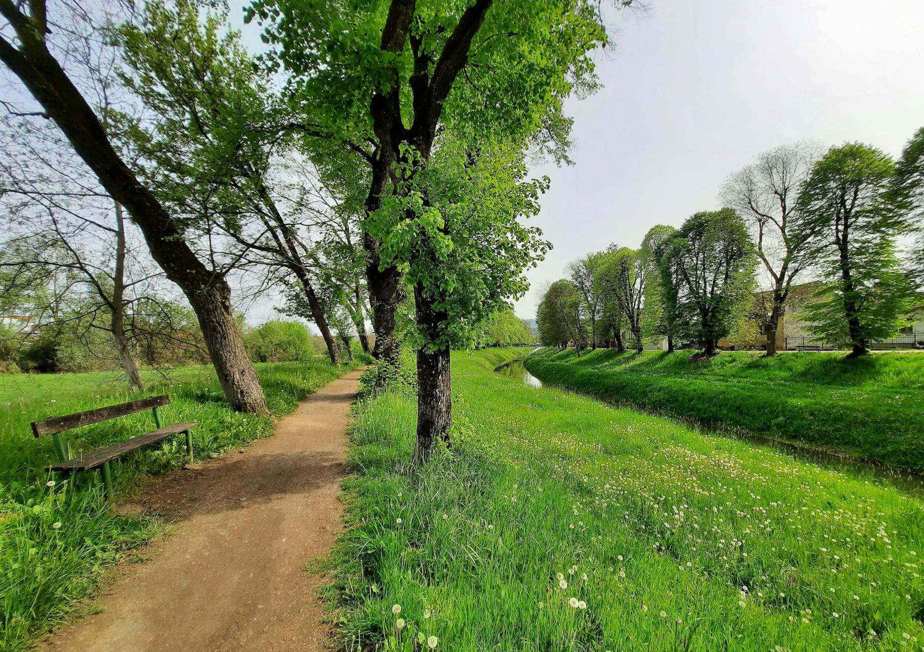 Trasy spacerowe Krynica Morska. 8 km pięknych tras na weekend